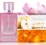 Catherine Malandrino 3-Pc. Parisian Garden Eau de Parfum Gift Set - Image 4