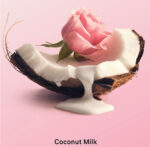 Victoria’s Secret Body Care Products | Coconut Milk Rose Hair & Body Mist - Image 2