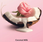 Victoria’s Secret Body Care Products | Coconut Milk Rose Hydrating Body Lotion - Image 2