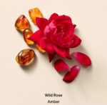 Victoria’s Secret Body Care Products | Wild Rose Amber Hair & Body Mist - Image 2