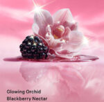 Victoria’s Secret Body Fragrances | Velvet Petals Joy Shimmer Fragrance Lotion - Image 2