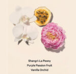 Bombshell 2-Piece Mini Eau de Parfum & Lotion Gift Set - Image 3