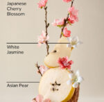 Japanese Cherry Blossom Ultimate Hydration Body Cream - 8 oz / 226 g - Image 4