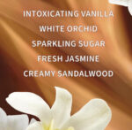 A Rare Holiday Indulgence — Warm Vanilla Sugar Gift Set - Image 4