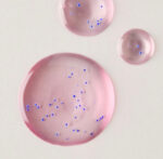 Champagne Toast PocketBac Hand Sanitizer - 1 fl oz / 29 mL - Image 2