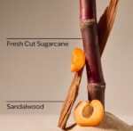 Fiji White Sands PocketBac Hand Sanitizer - 1 fl oz / 29 ml - Image 5