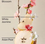 Japanese Cherry Blossom Hand Cream - 1 fl oz / 29 ml - Image 5