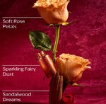 Aurora Fine Fragrance Mist - 8 fl oz / 236 ml - Image 3