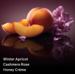 Victoria’s Secret Body Fragrances | Midnight Magic Fragrance Lotion - Image 3