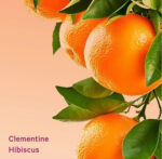 Clementine Hibiscus Hydrating Body Lotion - Image 3