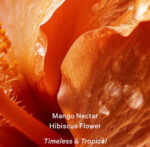 Victoria’s Secret Body Fragrances | MANGO TEMPTATION with mango nectar & hibiscus flower Classic Fragrance Lotion - Image 2