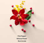 VERY SEXY 4 PIECE GIFT SET | FINE FRAGRANCE - Image 3