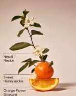 Backyard Honeysuckle Single Wick Candle - 8 oz / 227 g - Image 3