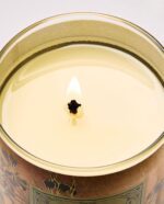 Backyard Honeysuckle Single Wick Candle - 8 oz / 227 g - Image 5