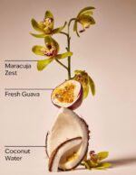 Viva Brazil Single Wick Candle - 8 oz/ 227 g - Image 6