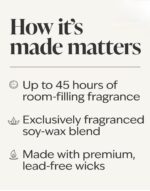 Viva Brazil Single Wick Candle - 8 oz/ 227 g - Image 5