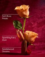 Aurora Single Wick Candle - 8 oz / 227 g - Image 5