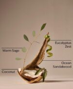 Warm Ocean Breeze Single Wick Candle - 8 oz / 227 g - Image 4