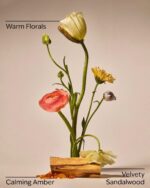 Warm Summer Evening Single Wick Candle - 8 oz/ 227 g - Image 5