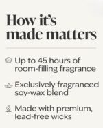 Warm Summer Evening Single Wick Candle - 8 oz/ 227 g - Image 6