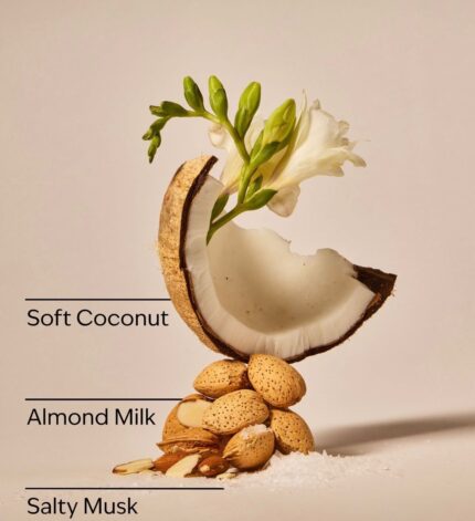 Coconut Linen Single Wick Candle