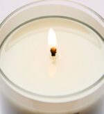 Coconut Linen Single Wick Candle