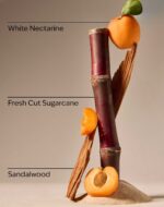 Fiji White Sands Single Wick Candle