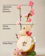 Japanese Cherry Blossom Mini Gift Set