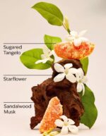 In the Stars Mini Gift Set