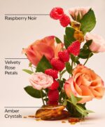 Into The Night Mini Gift Set